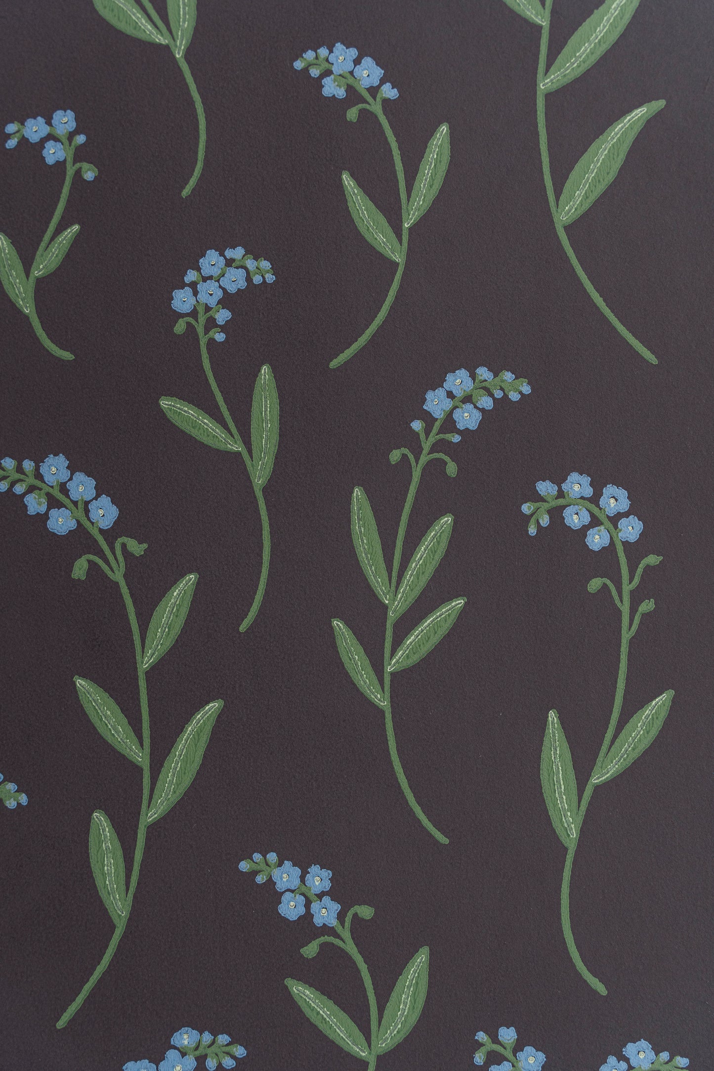 Wallpaper Forget-me-not black