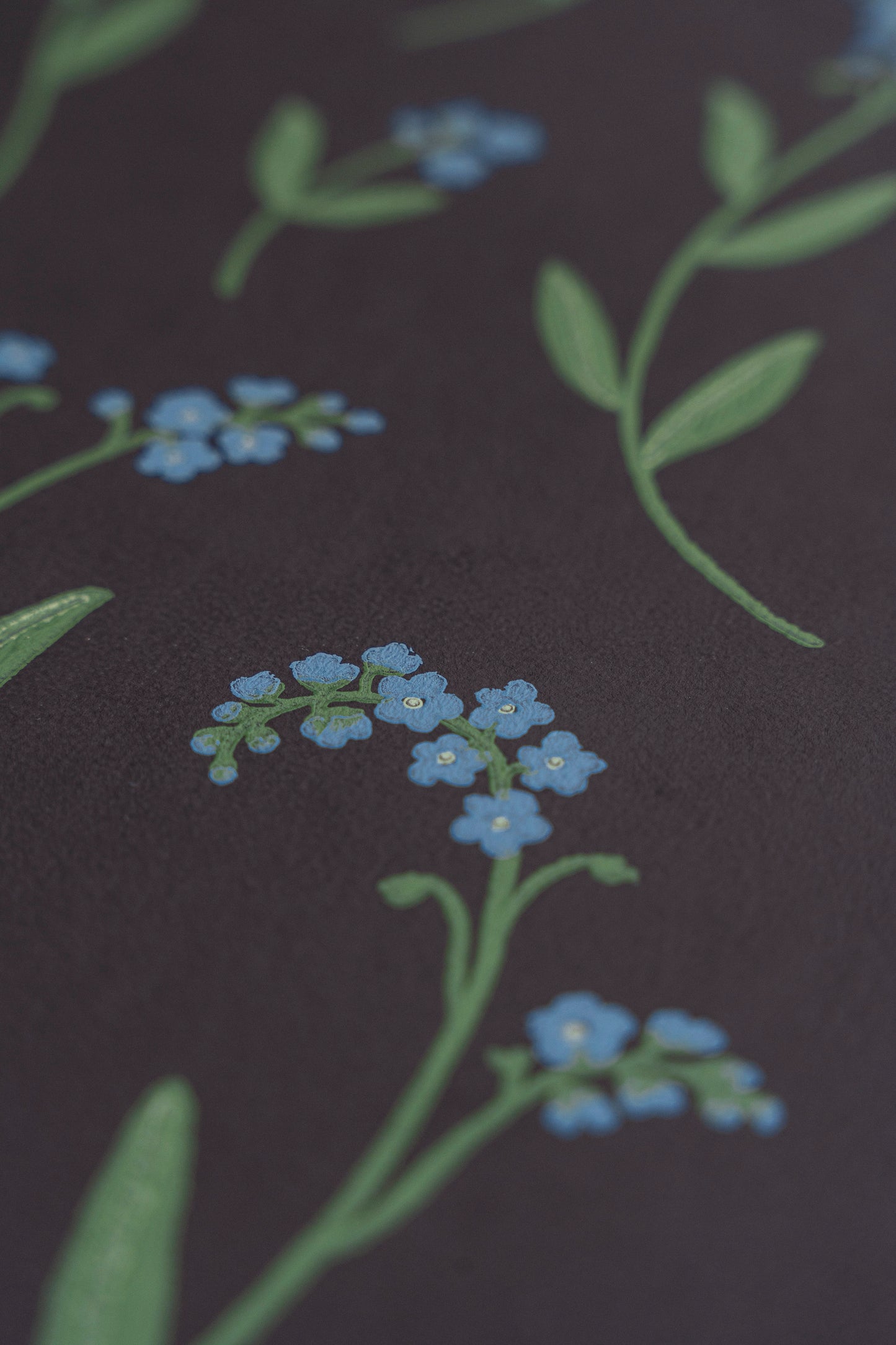 Wallpaper Forget-me-not black