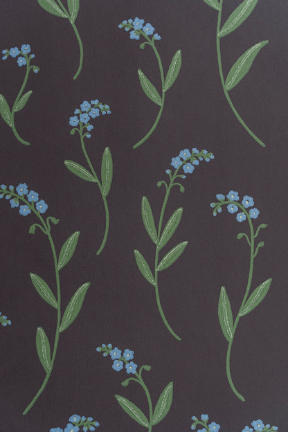 Wallpaper Forget-me-not black