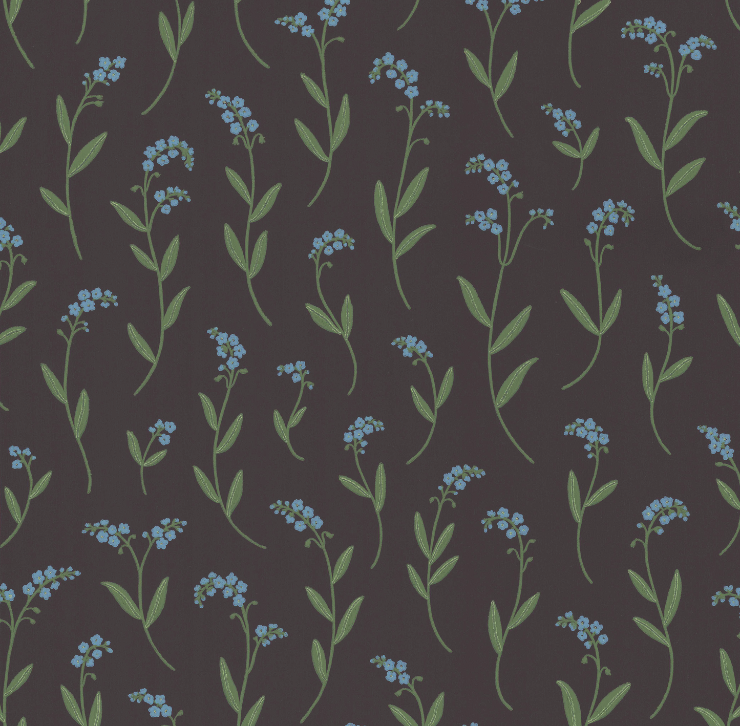 Wallpaper Forget-me-not black